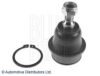 DODGE 05085914AB Ball Joint
